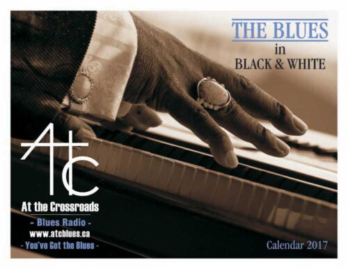 Read more about the article 2017 Blues Calendar Raising Funds for Brain Injury Association